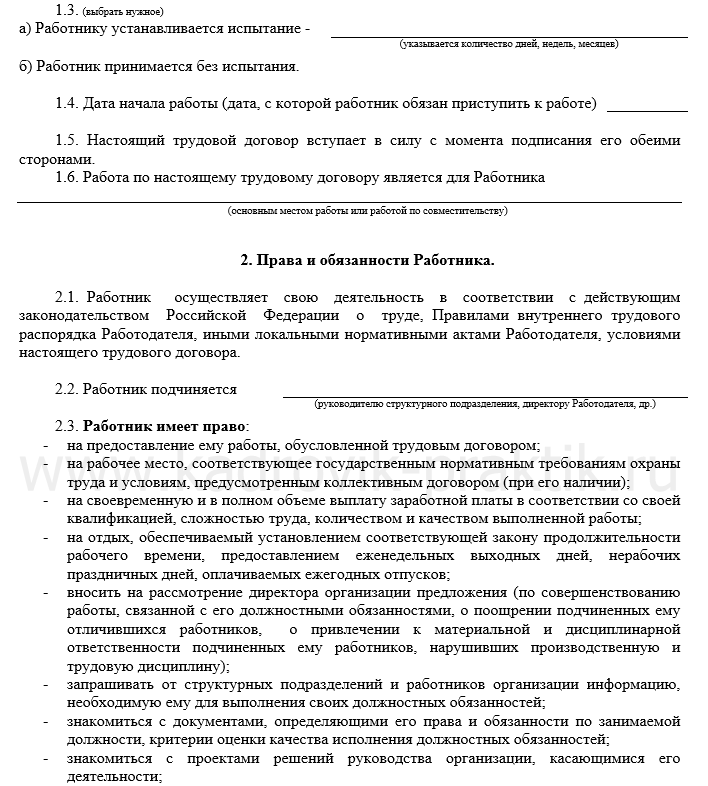 Трудовой договор заместителя главного бухгалтера образец